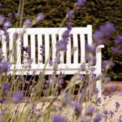 Alexander Rose New England Broadfield Garden Bench 5ft -Living Furnitures Shop alexander rose new england broadfield garden bench 5ft detail 44924.1627806513
