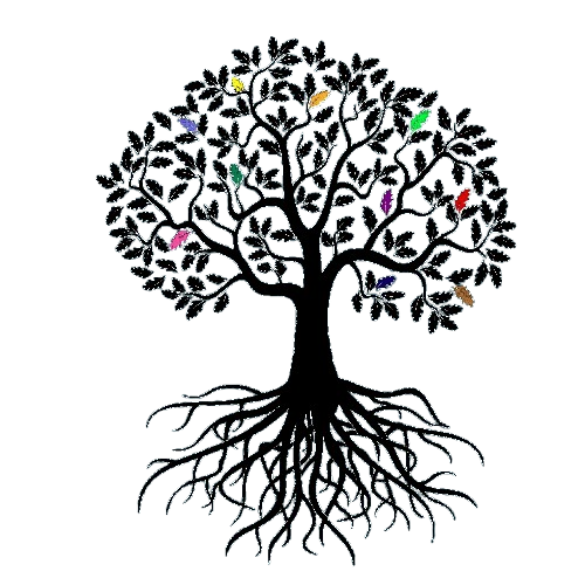 Living Furnitures Shop